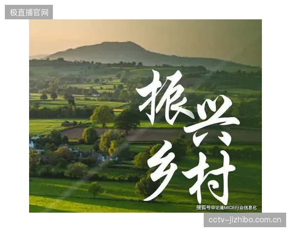 返乡CEO”们的新赛道：体育正吸纳跨界人才进入乡村振兴的组织架构